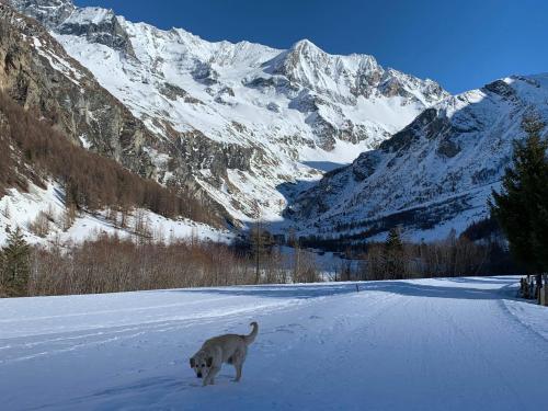 Hôtel Arolla im Winter