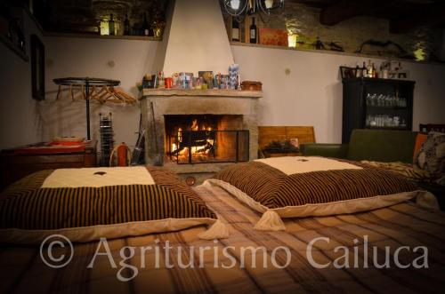two beds in a room with a fireplace at Agriturismo Cailuca in Pietralunga
