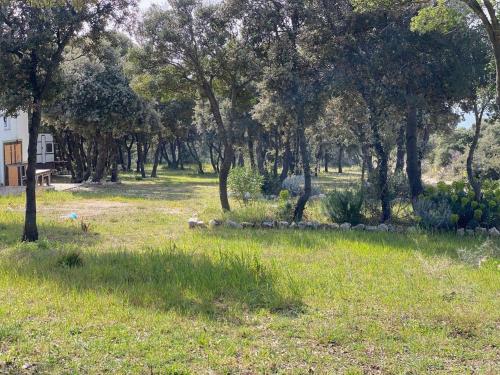 a park with trees and a field of grass at Camping Sugar in Mandre
