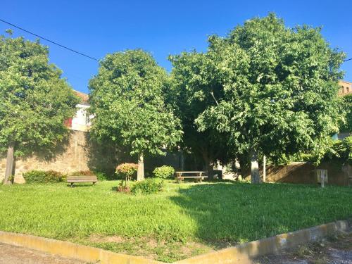 a park with trees and a bench in the grass at La Maison du Canal - Canal Studio in Homps
