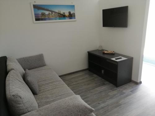 a living room with a couch and a tv at NATA Apartman in Gyula
