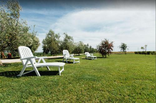 three white chairs sitting in the grass in a field at Agriturismo Corte degli Angeli in Marina di Grosseto