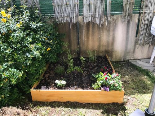 a garden with flowers and plants in a wooden box at Les Trémières in Le Thou