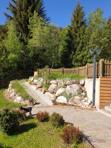 a dog standing in a yard next to a fence at Obereggen - Anna in Eggen