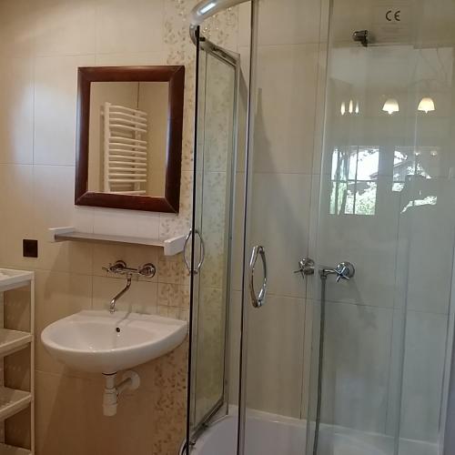 a bathroom with a sink and a glass shower at RANCHO-JURA in Podlesice