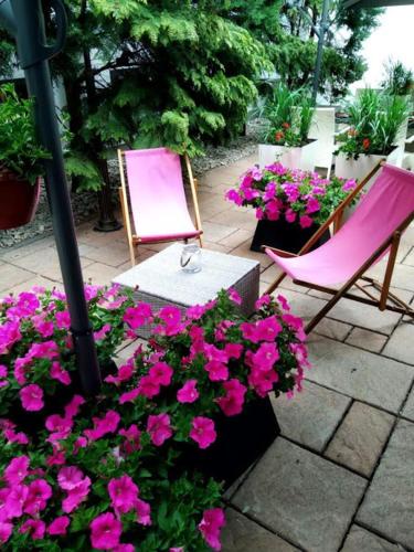 Jasek Premium Hotel Wrocławにある庭