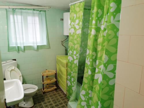 y baño con aseo y cortina de ducha. en Villa Davor en Peštani