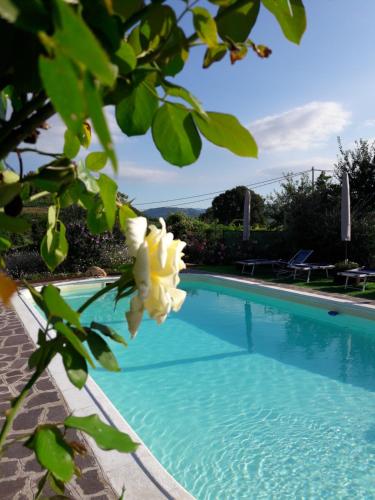 Corte Soave – Photos 2