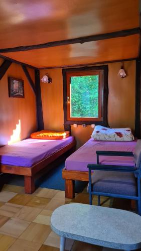 Zimmer mit 2 Betten und einem Fenster in der Unterkunft Domek pod lasem in Mikołajki