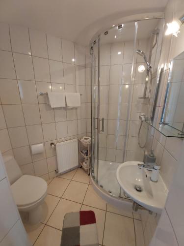 a bathroom with a shower and a toilet and a sink at Krakowska 39 in Kazimierz Dolny