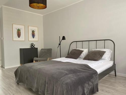 1 dormitorio con 1 cama grande y 1 silla en APARTAMENT KILIŃSKIEGO 9 en Świdnica