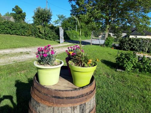 two buckets of flowers sitting on top of a barrel at La Croisée des Arts in La Bastide-lʼÉvêque