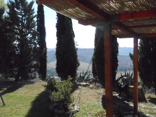 a wooden pergola with trees on a hill at Agriturismo Collomici in Celle sul Rigo