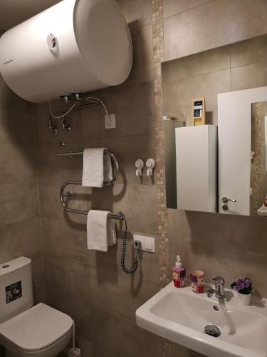 a bathroom with a sink and a toilet and a mirror at Rise and Shine apartment in Juodkrantė