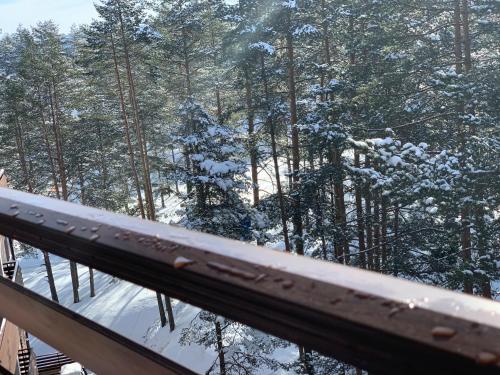 a view of the snow covered trees from a balcony at Vila Pekovic, Pine Trees View Apartment with big balcony in The Center of Zlatibor! in Zlatibor