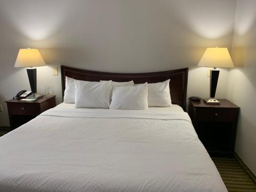 a hotel room with a large bed with two lamps at Days Inn by Wyndham Ocean Springs in Ocean Springs