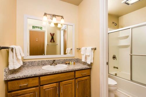 a bathroom with a sink and a toilet and a mirror at Lichenhearth 21 in Snowmass Village