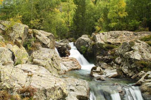 a stream of water flowing through rocks in a forest at Hotel Marxant in Tavascan
