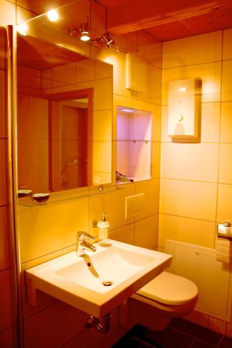 a bathroom with a sink and a toilet and a mirror at Ferienhaus Hexenschlummer - Schlafzimmer und romantischer Schlafboden in Thale