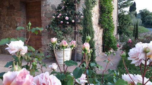 a garden with pink roses in front of a building at Podere Pievina Delle Corti - Dimora di Campagna in Sinalunga