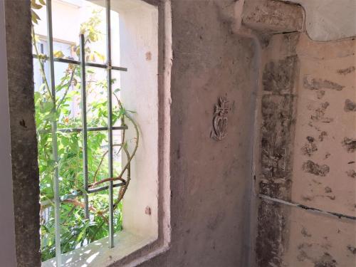 an open window with a view of a plant at le balcon de Saint Roch in Montpellier