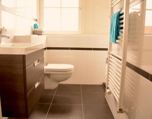 a bathroom with a toilet and a sink at De Sprink - Vakantiewoning in Zoutelande
