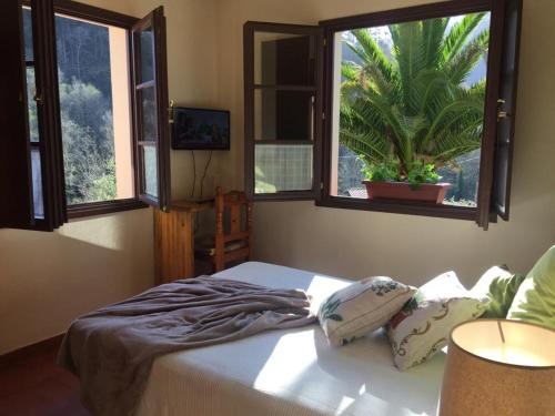 1 Schlafzimmer mit einem Bett und 2 Fenstern in der Unterkunft Hotel peñacabrera 1 in Santa Eulalia