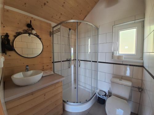 een badkamer met wastafel, douche en toilet bij Podbucznik 3 Leskowiec in Targoszów