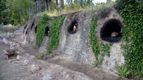 Gambar di galeri bagi Wildherb House di Agriovótanon