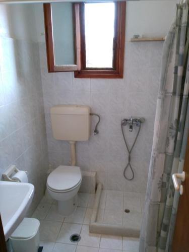 a bathroom with a toilet and a shower at Pirgos Naxos in Aliko Beach