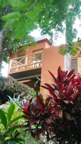 3 bedrooms house at Las Galeras 200 m away from the beach with sea view enclosed garden and wifi
