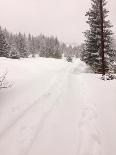 冬のGolija Vikendica Česta Vrelaの様子