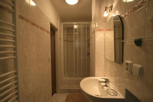 ein Bad mit einem Waschbecken, einem Spiegel und einer Dusche in der Unterkunft Apartment No. 19 Jaltská 3 in Karlsbad