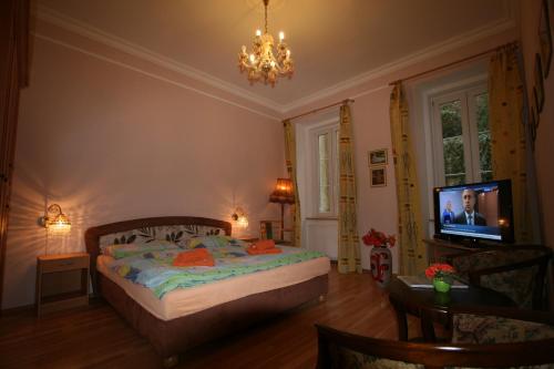 a bedroom with a bed and a flat screen tv at Apartment No. 2 Tržiště 29 in Karlovy Vary