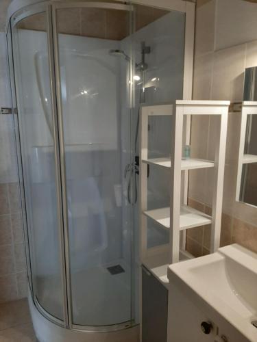 une douche en verre dans une salle de bain avec un lavabo dans l'établissement Le Domaine Leylandy, à Saint-Sulpice-de-Royan