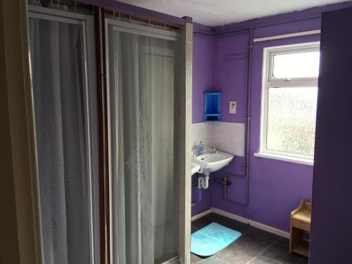 a purple bathroom with a shower and a sink at Pantyrathro International Hostel in Carmarthen