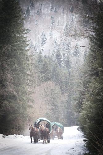 a horse drawn carriage on a snow covered road at Bezpieczna Przystań - Apartamenty-balia, sauna, narty in Uherce Mineralne