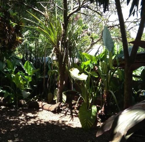 Afbeelding uit fotogalerij van Jasy Hotel in Puerto Iguazú