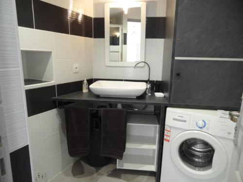 een badkamer met een wastafel en een wasmachine bij Acienne bergerie cévenole avec spa in Bagard
