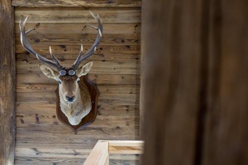 Gambar di galeri bagi Chalet Le Lodge di Ventron
