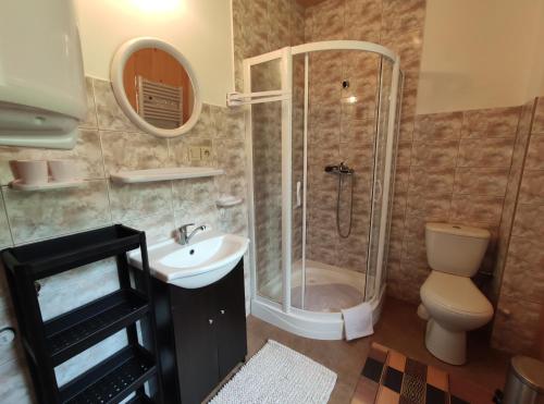 ein Bad mit einer Dusche, einem WC und einem Waschbecken in der Unterkunft Sunny House in Anielin in Anielin