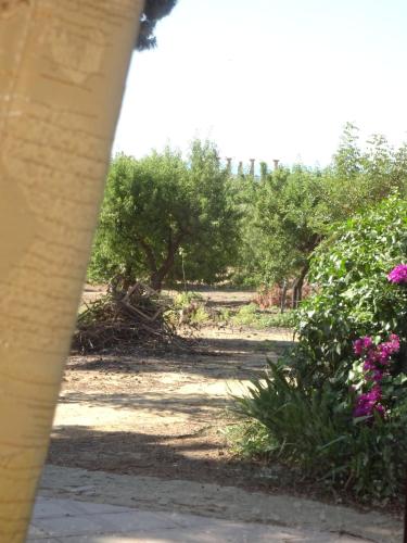 a view of a park with trees and flowers at B&B Villa San Marco in Agrigento