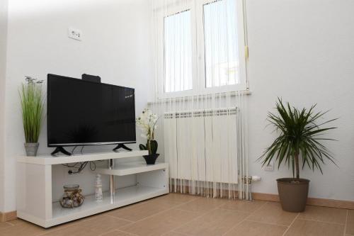 TV a/nebo společenská místnost v ubytování Apartments Jelena