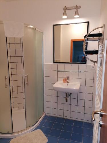 a bathroom with a sink and a shower at penzion LILIE in Litomyšl