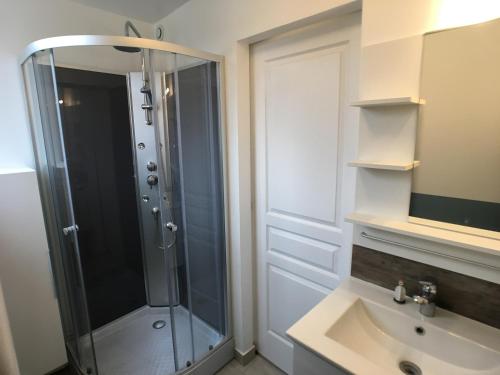 a bathroom with a shower and a sink at Chartres Coeur de Ville, beau 2 pièces chaleureux et lumineux,Parking et Wifi ! in Chartres