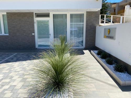 a palm plant in front of a building at BeeApartments in Bari