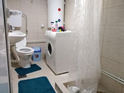 La salle de bains est pourvue de toilettes, d'un lavabo et d'une douche. dans l'établissement Apartmani Odmor i Mir, à Vranje