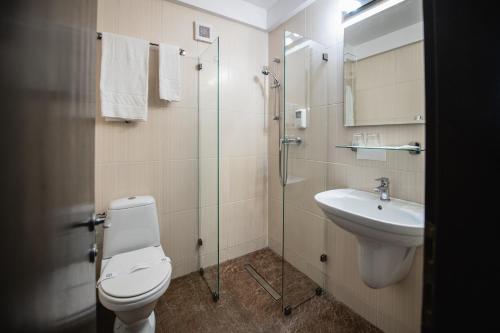 a bathroom with a toilet and a sink at Hotel Park Sfantu Gheorghe in Sfântu-Gheorghe