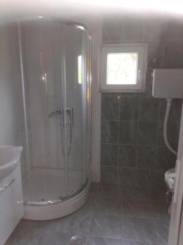 a bathroom with a shower and a sink at Apartment Dedine Golubac in Golubac