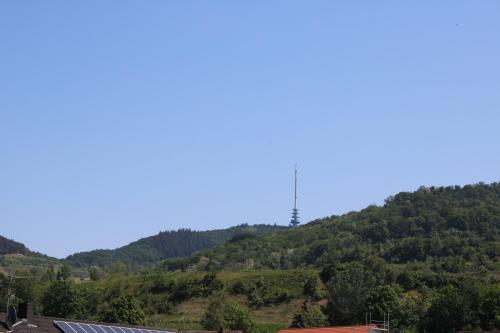 Příroda nedaleko apartmánu